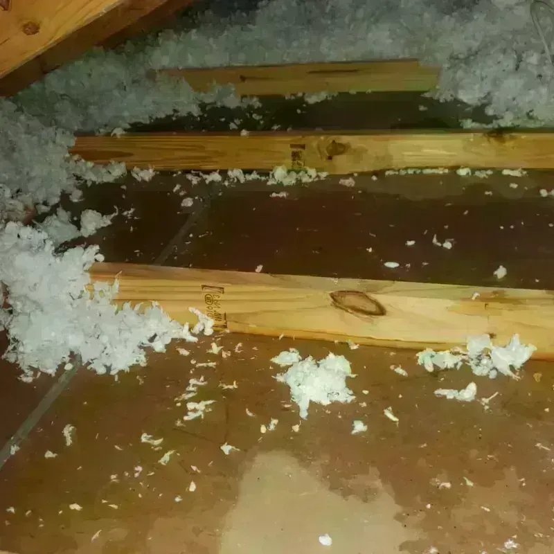 Attic Water Damage in Justin, TX