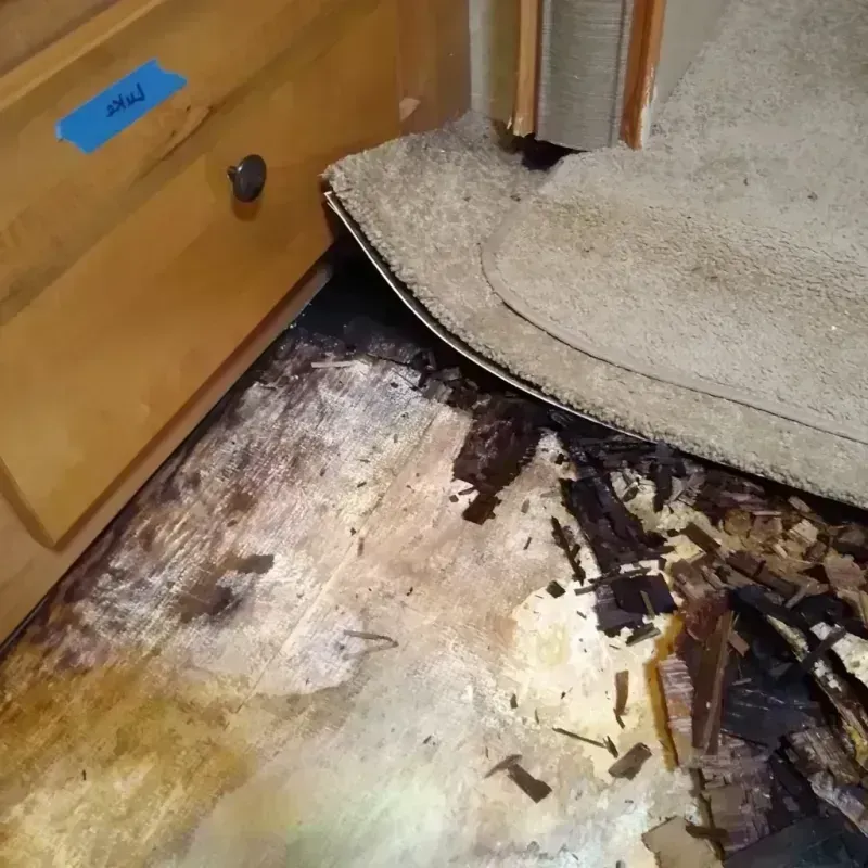 Wood Floor Water Damage in Justin, TX